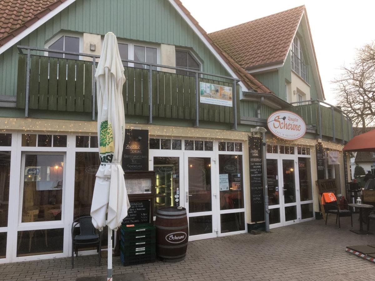Doppelhaushaelfte Birkenstrasse 5E Villa Zingst Exterior photo